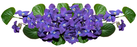 Garden fragrant cut out
