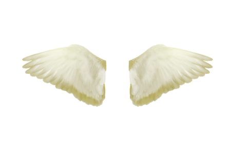 Flying fly png