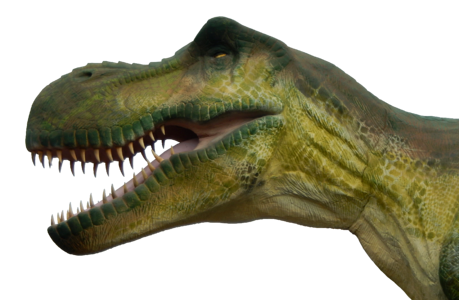 Reptile t rex giant lizard