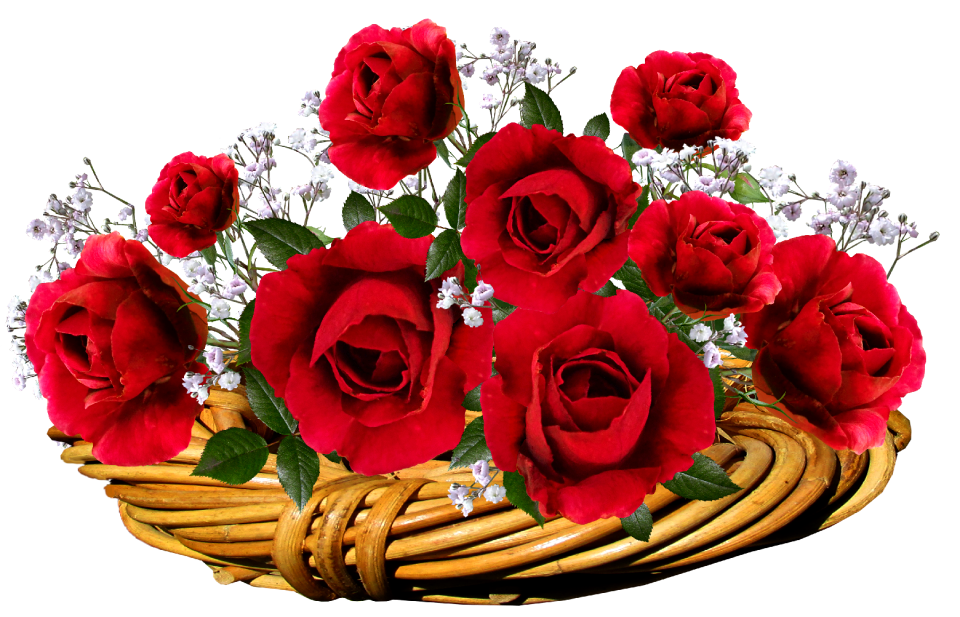 Flowers romantic valentine
