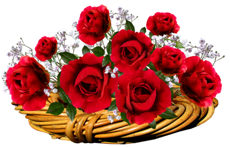 Flowers romantic valentine