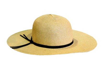 Coneflower straw hat headwear