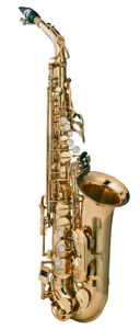 Music tool saxophonist