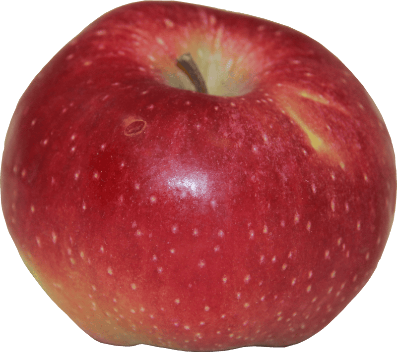 Apples