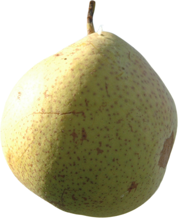 Pear