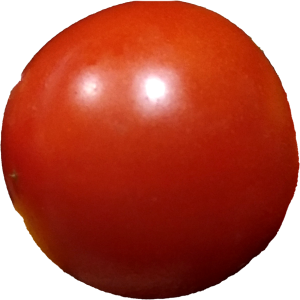 Tomato