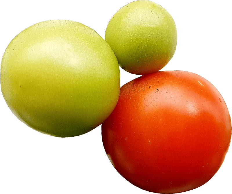 Tomatoes