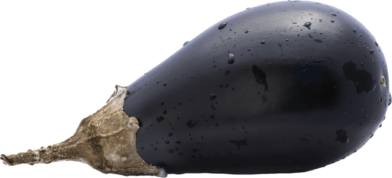 Eggplant