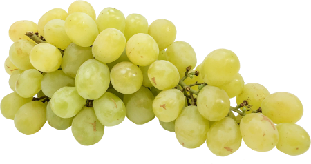 Grapes