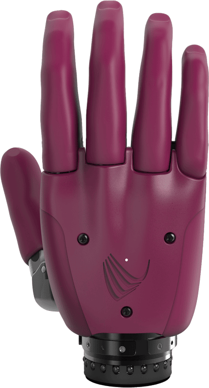 Hand prosthesis