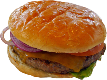 Village burger bar