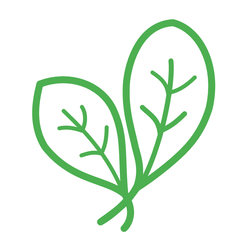 Spinach