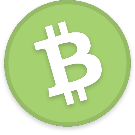 BCH Cryptocurrency Logo