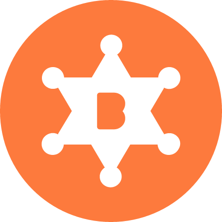 BNTY Cryptocurrency Logo (Color)
