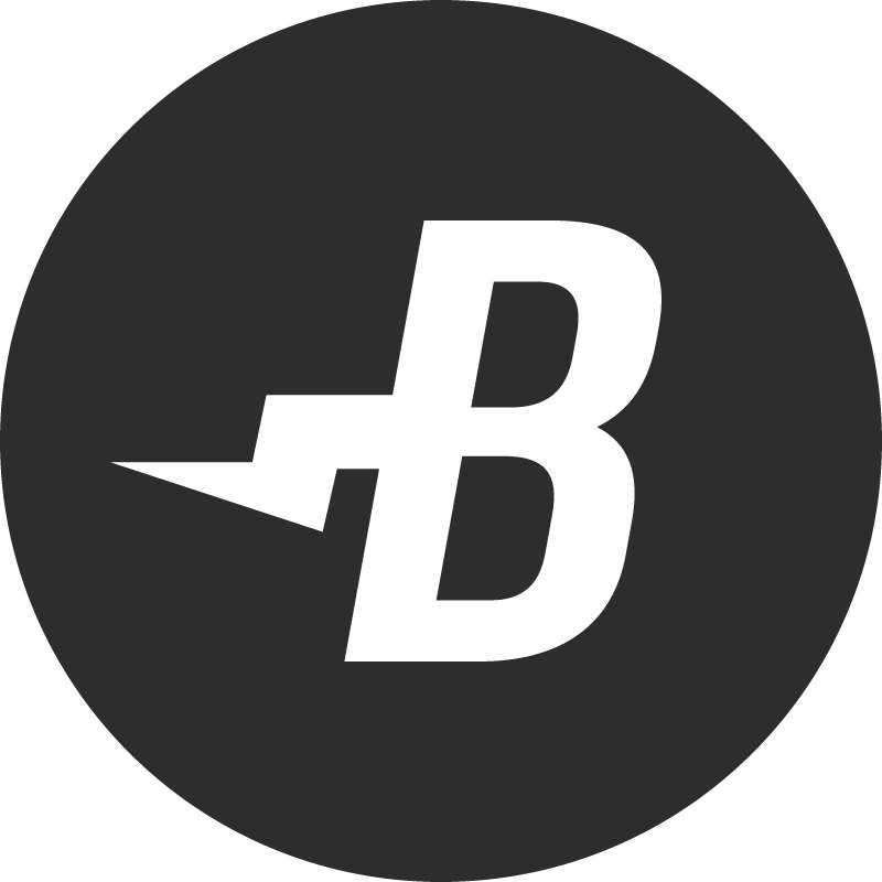 BURST Cryptocurrency Logo (Color)