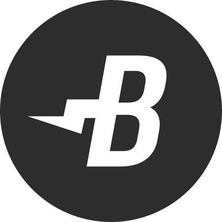BURST Cryptocurrency Logo (Color)
