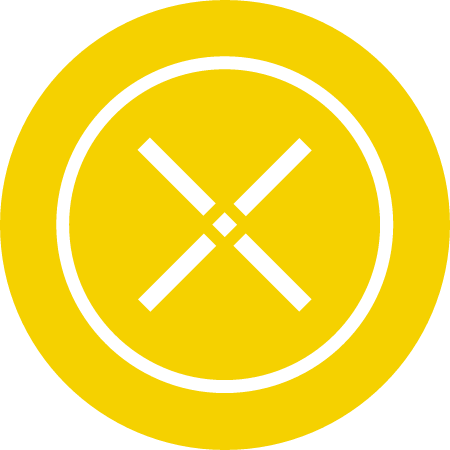 NPXS Cryptocurrency Logo (Color)