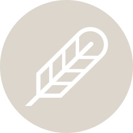 POE Cryptocurrency Logo (Color)