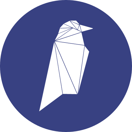 RVN Cryptocurrency Logo (Color)