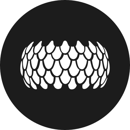 SRN Cryptocurrency Logo (Color)