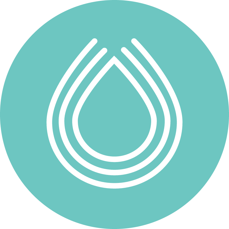 SER Cryptocurrency Logo (Color)