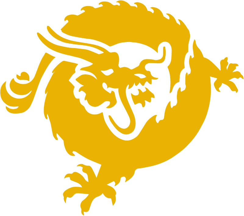 BSV Cryptocurrency Logo