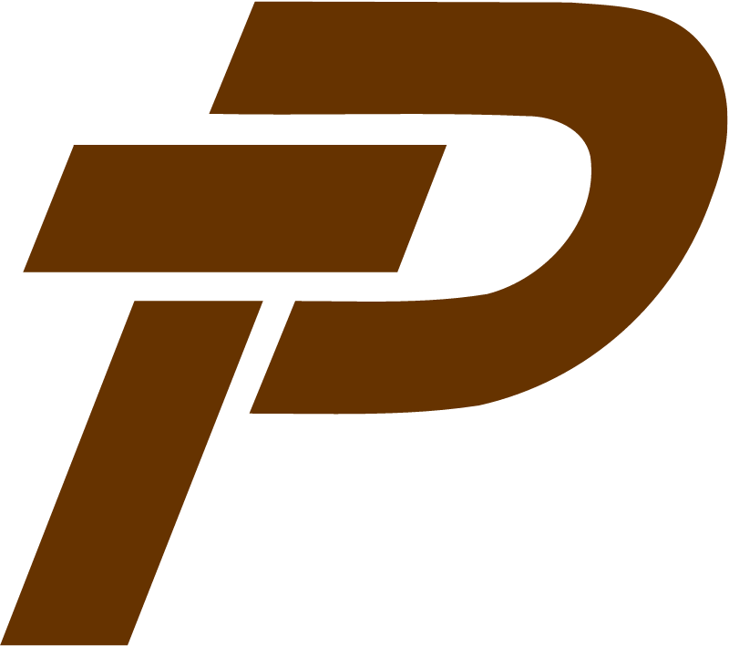 PAYX Cryptocurrency Logo