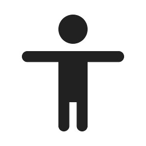 Ic fluent accessibility 20 filled