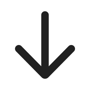 Ic fluent arrow down 24 filled