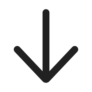 Ic fluent arrow down 20 filled
