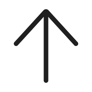 Ic fluent arrow up 20 regular