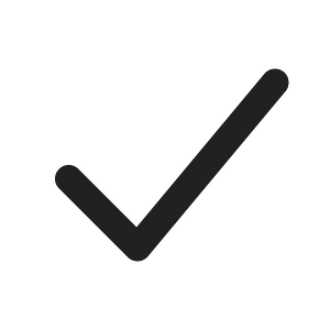 Ic fluent checkmark 12 regular