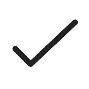Ic fluent checkmark 16 regular