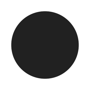 Ic fluent circle 16 filled
