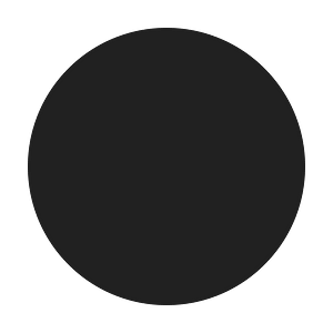 Ic fluent circle 24 filled