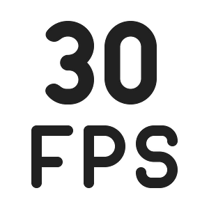Ic fluent fps 30 20 filled
