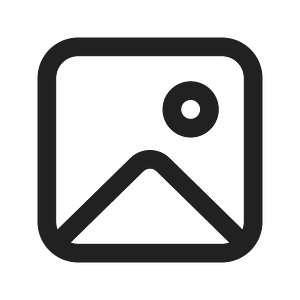 Ic fluent image 24 regular