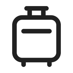 Ic fluent luggage 24 regular