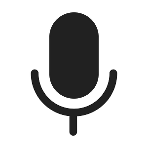 Ic fluent mic on 48 filled