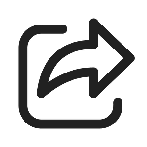 Ic fluent share 24 regular
