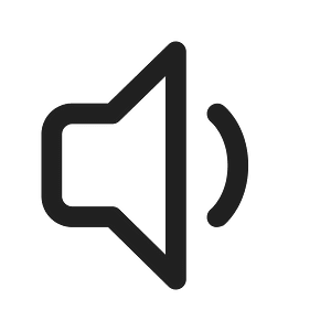 Ic fluent speaker 1 16 regular