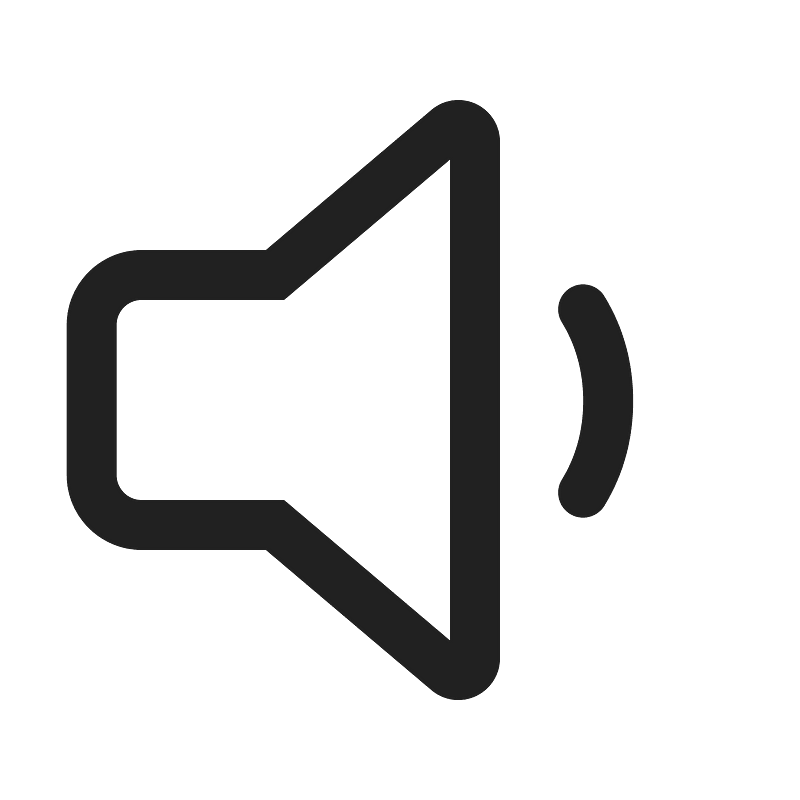Ic fluent speaker 1 24 regular