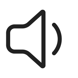 Ic fluent speaker 1 48 regular