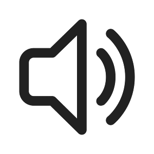 Ic fluent speaker 2 16 regular