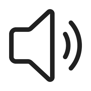 Ic fluent speaker 2 20 regular