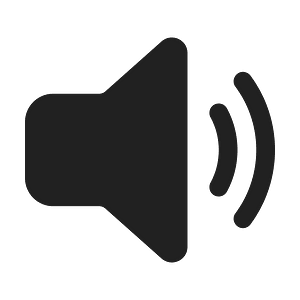 Ic fluent speaker 2 24 filled