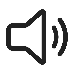 Ic fluent speaker 2 24 regular