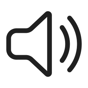 Ic fluent speaker 2 28 regular