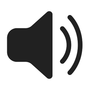 Ic fluent speaker 2 48 filled