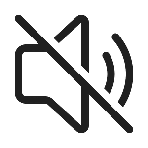 Ic fluent speaker off 20 regular